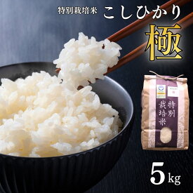 【ふるさと納税】特別栽培米 コシヒカリ 「極」 5kg 令和8年産 一等米 こしひかり 新潟県認証 精米 白米 アグリ巧房【012S076】