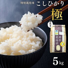 【ふるさと納税】県認証 特別栽培米 コシヒカリ 「極」 5kg 無洗米 令和8年産米 こしひかり 新潟県認証 白米【012S087】
