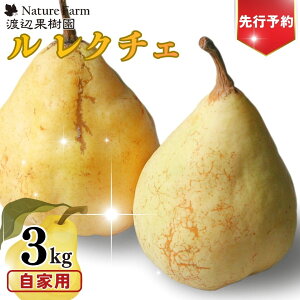 �ԗ�i�摜
