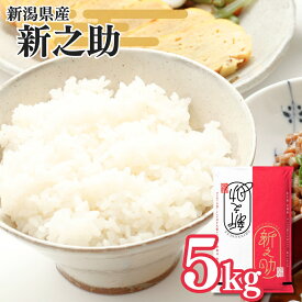 【ふるさと納税】新潟県三条産新之助 5kg×1袋 令和8年産新之助 精米 新潟県産新之助 【014S148】