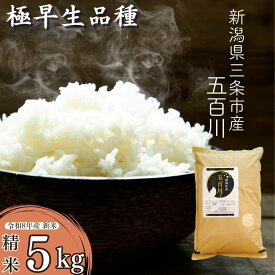 【ふるさと納税】先行予約 [極早生] 新潟県三条市産五百川 5kg 令和8年産 精米 [外山敏雄商店]【015S191】