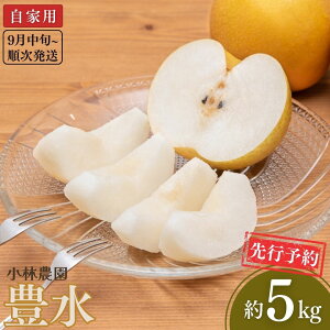 yӂ邳Ɣ[Łzs\ a L Ɨp 5kg [9{甭\] ߘa7Nx V OsY  [є_]y010P072z