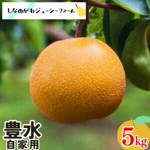 yӂ邳Ɣ[Łza L Ɨp 5kg V OsY  [Ȃ̂W[V[t@[]y010S481z