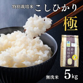 【ふるさと納税】県認証 特別栽培米 コシヒカリ 「極」 5kg 無洗米 令和7年産米 こしひかり 新潟県認証 白米【012S087】