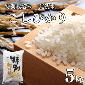 【ふるさと納税】県認証 特別栽培米 コシヒカリ5kg 無洗米 新潟県認証 令和7年産 新潟県三条市産 こしひかり 【011S193】