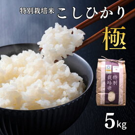 【ふるさと納税】特別栽培米 コシヒカリ 「極」 5kg 令和7年産 一等米 こしひかり 新潟県認証 精米 白米 アグリ巧房【012S076】