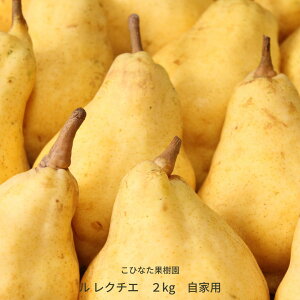 yӂ邳Ɣ[Łz ys\zN`G 2kg Ɨp [2025N] ߘa7NY m V O O ʕ [ЂȂʎ] y010S802z