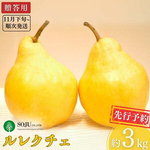 yӂ邳Ɣ[Łzs\  N`F 3kg [11{甭\] m JGAPFؔ_ V OsY  N`G Ԍ ~ ̐m t[c H { m EN`F [Oʎ