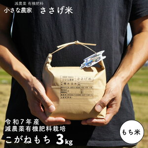yӂ邳Ɣ[Łzs\ _L@엿͔| VY˂ 3kg  [10{甭\] ߘa7NY [Ȕ_Ƃ] 10000~ȉ 1~ȉ y010S439z