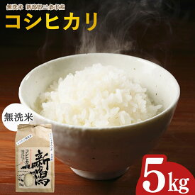 【ふるさと納税】新潟県三条市産 コシヒカリ 無洗米 5kg [グリーンファーム渡前] 令和7年産 2025年産 こしひかり 令和7年度 【017S142】