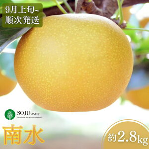 yӂ邳Ɣ[Łza 쐅 2.8kg [9{甭\] ߘa7Nx ㊮n{ V OsY [OʎƏWc]y010S497z