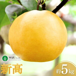 yӂ邳Ɣ[Łzs\ a V 5kg [10{甭\] ߘa7Nx V p V OsY [OʎƏWc]y016P022z