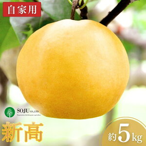 yӂ邳Ɣ[Łza V Ɨp 5kg ߘa7Nx Vt[c VY  [OʎƏWc] y010P060z