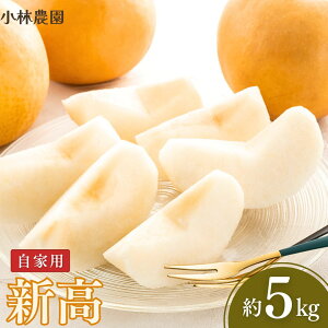 yӂ邳Ɣ[Łza V Ɨp 5kg ߘa7Nx V OsY  [є_]y010P074z