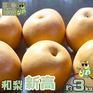 yӂ邳Ɣ[Łza V 3kg Gi ߘa7Nx Vt[c VY  [Ot@[WIN] y010S822z