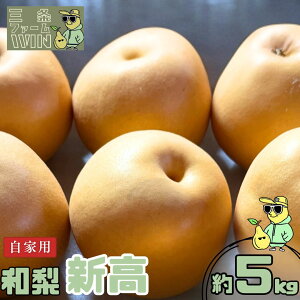 yӂ邳Ɣ[Łza V Ɨp 5kg ߘa7Nx Vt[c VY  [Ot@[WIN] y010S839z