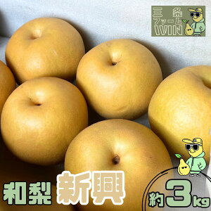 yӂ邳Ɣ[Łza V 3kg Gi ߘa7Nx Vt[c VY  [Ot@[WIN] y010S840z