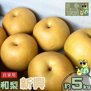 yӂ邳Ɣ[Łza V Ɨp 5kg ߘa7Nx Vt[c VY  [Ot@[WIN] y010S841z