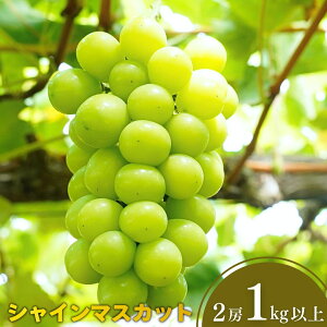 yӂ邳Ɣ[ŁzVC}XJbg 1kgȏ (2[) ߘa7Nx V OsY Ԃǂ [є_]y013S129z
