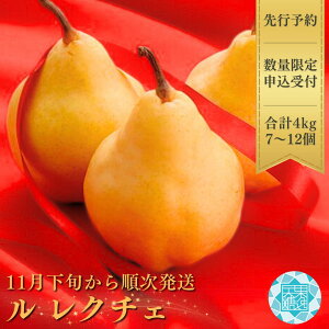 yӂ邳Ɣ[Łzs\ [KiI]  N`G 4kg (7`10) [2024N11{甭\] ߘa6Nx m [VʓieJgECcj] VY EN`F m̋Mwl y020S026z