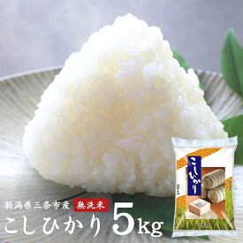 【ふるさと納税】無洗米 コシヒカリ 5kg新潟県三条市産 こしひかり 令和7年産 [外山敏雄商店]【017S152】