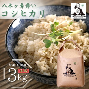 yӂ邳Ɣ[ŁzL@JASF RVqJ  3kg 5kg Iׂ u؃@v ߘa7NY I[KjbN VOsY RVqJ Ђ y012S023z