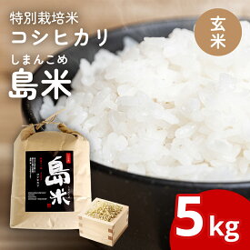 【ふるさと納税】新米 新潟県特別栽培米 コシヒカリ5kg 玄米「島米(しまんこめ)」三条市 下田 令和7年産 コシヒカリ [農事組合法人島川原]【015S197】