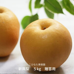 yӂ邳Ɣ[ŁzV 5kg p [2025N] ߘa7NY a V O O ʕ [ЂȂʎ] y015S190z