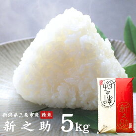 【ふるさと納税】新之助 5kg 新潟県三条市産 精米 令和7年産 [外山敏雄商店]【010S257】