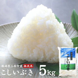 【ふるさと納税】無洗米 こしいぶき 5kg 新潟県三条市産米 令和7年産 [外山敏雄商店]【015S198】
