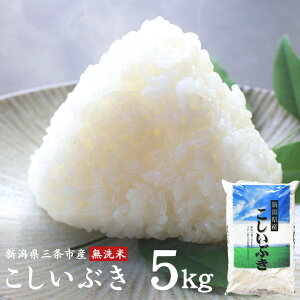 yӂ邳Ɣ[Łz Ԃ 5kg VOsY ߘa7NY [ORqYX]y015S198z