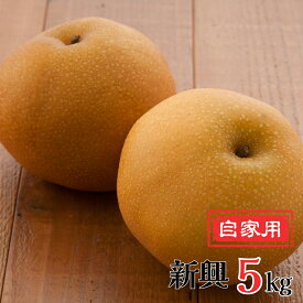 【ふるさと納税】和梨 新興梨 自家用 5kg 新潟県産 訳アリ 梨 [岩福農園] 【010P065】