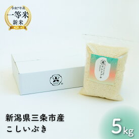 【ふるさと納税】新潟県産こしいぶき 3~10kg 1等米 2025年産 三条市保内産 精米 白米 令和7年産 米