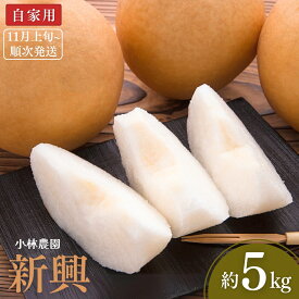 【ふるさと納税】和梨 新興 自家用 約5kg [11月上旬から発送予定] 令和7年度 梨 新潟フルーツ 新潟県産 [小林農園] 【010P075】