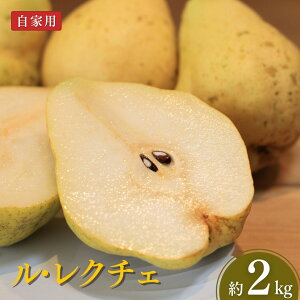 yӂ邳Ɣ[ŁzEN`F2kg Ɨp ߘa7Nx VOsY [Ȃ̂W[V[t@[] m̋Mwl VY m y010S687z