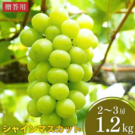 【ふるさと納税】先行予約 シャインマスカット 約1.2kg 令和8年度 新潟県 三条市産 ぶどう [小林農園]【013P027】