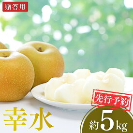 【ふるさと納税】先行予約 和梨 幸水 約5kg 令和8年度 新潟県 三条市産 梨 冷蔵 [小林農園]【012P044】