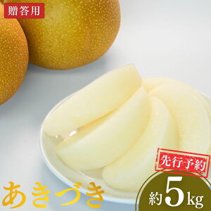 �y�ӂ邳�Ɣ[�Łz��s�\�� �a�� �����Â� �I�ׂ���e�� ��3kg�E��5kg �ߘa8�N�x �V�����O���s�Y �� [���є_��]