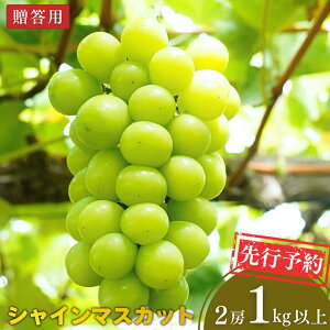 �y�ӂ邳�Ɣ[�Łz��s�\�� �V���C���}�X�J�b�g 1kg�ȏ� (2�[) �ߘa8�N�x �V���� �O���s�Y �Ԃǂ� [���є_��]�y013S129�z