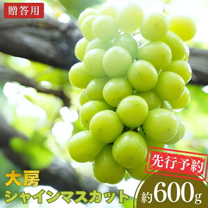 �y�ӂ邳�Ɣ[�Łz��s�\�� ��[�V���C���}�X�J�b�g ��600g�i1�[�j�ߘa8�N�x �V���� �O���s�Y �Ԃǂ� [���є_��] 10000�~�ȉ� 1���~�ȉ��y010P080�z