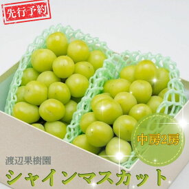 【ふるさと納税】先行予約 中房シャインマスカット2房 (約1kg) 令和8年度 贈答用 シャインマスカット 新潟県 三条市産 ぶどう [渡辺果樹園] 【018S031】