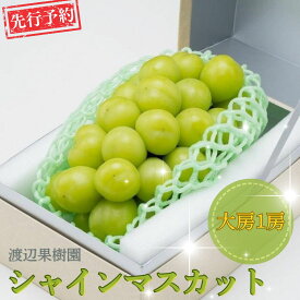 【ふるさと納税】先行予約 大房シャインマスカット1房 (約570g) 令和8年度 贈答用 シャインマスカット 新潟県 三条市産 ぶどう [渡辺果樹園] 【011S091】