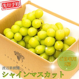 【ふるさと納税】先行予約 シャインマスカット ご自宅用 2房 令和8年度 自家用 新潟県 三条市産 ぶどう [渡辺果樹園] 【014S151】
