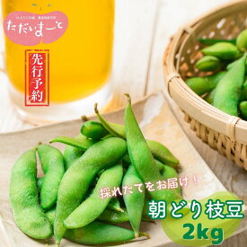 【ふるさと納税】先行予約 採れたてをお届け！朝どり枝豆 2kg (1kg×2袋) 令和8年度 新潟県産 えだまめ [JAえちご中越]【010S119】