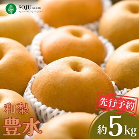 【ふるさと納税】先行予約 和梨 豊水 約5kg 令和8年度 贈答用 新潟県 三条市産 梨 [三条果樹専門家集団] 【016P020】