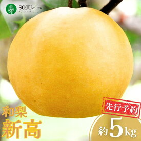 【ふるさと納税】先行予約 和梨 新高 約5kg 令和8年度 新高梨 贈答用 新潟県 三条市産 [三条果樹専門家集団]【016P022】