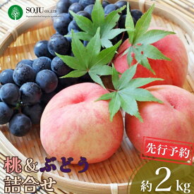 【ふるさと納税】先行予約 季節の桃&ぶどう詰合せ 約2kg 令和8年度 桃（日の出 あかつき なつっこ 川中島白桃 あきぞら 白根白桃 黄金桃） ぶどう（巨峰 シャインマスカット ロザリオビアンコ セキレイ） 贈答用 新潟県 三条市産 [三条果樹専門家集団]【016P042】