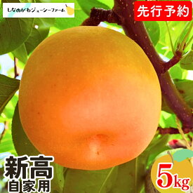 【ふるさと納税】先行予約 和梨 新高 自家用 約5kg 令和8年度 新潟県 三条市産 梨 [しなのがわジューシーファーム]【010S491】