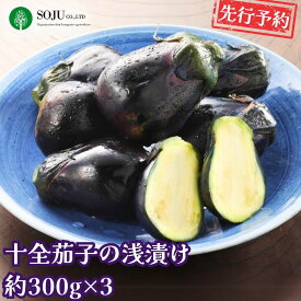 【ふるさと納税】先行予約 十全茄子の浅漬け(約300g×3) 令和8年度 新潟県 三条市産 なす 漬物 茄子漬 [三条果樹専門家集団]【010P049】