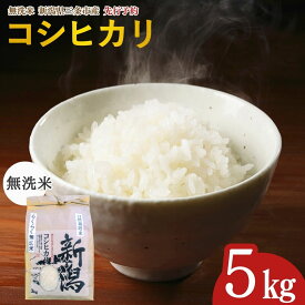 【ふるさと納税】先行予約 新潟県三条市産 自然栽培米コシヒカリ 無洗米 5kg [グリーンファーム渡前] 令和8年産 2026年産 こしひかり 令和7年度 【018S097】